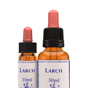 落葉松 Larch