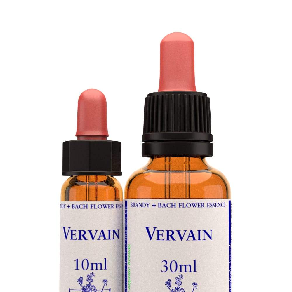 馬鞭草 Vervain