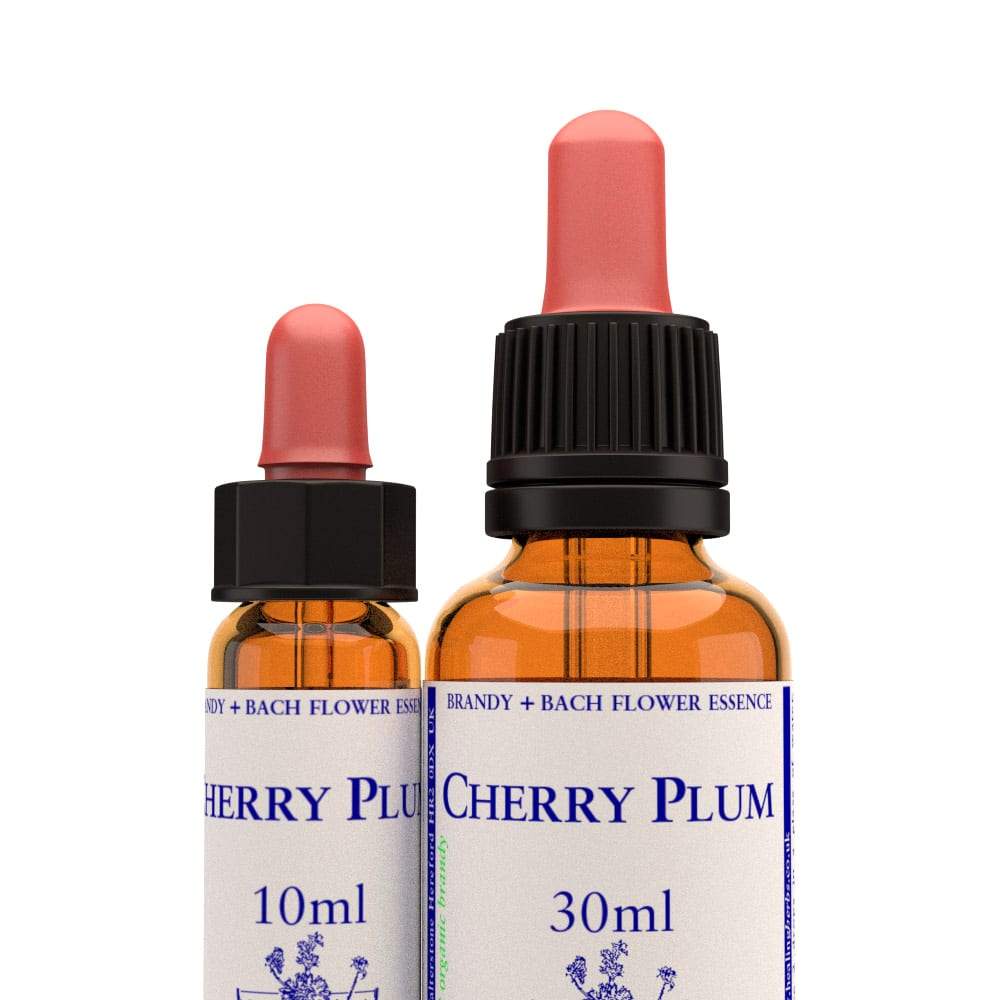 櫻桃李 Cherry Plum